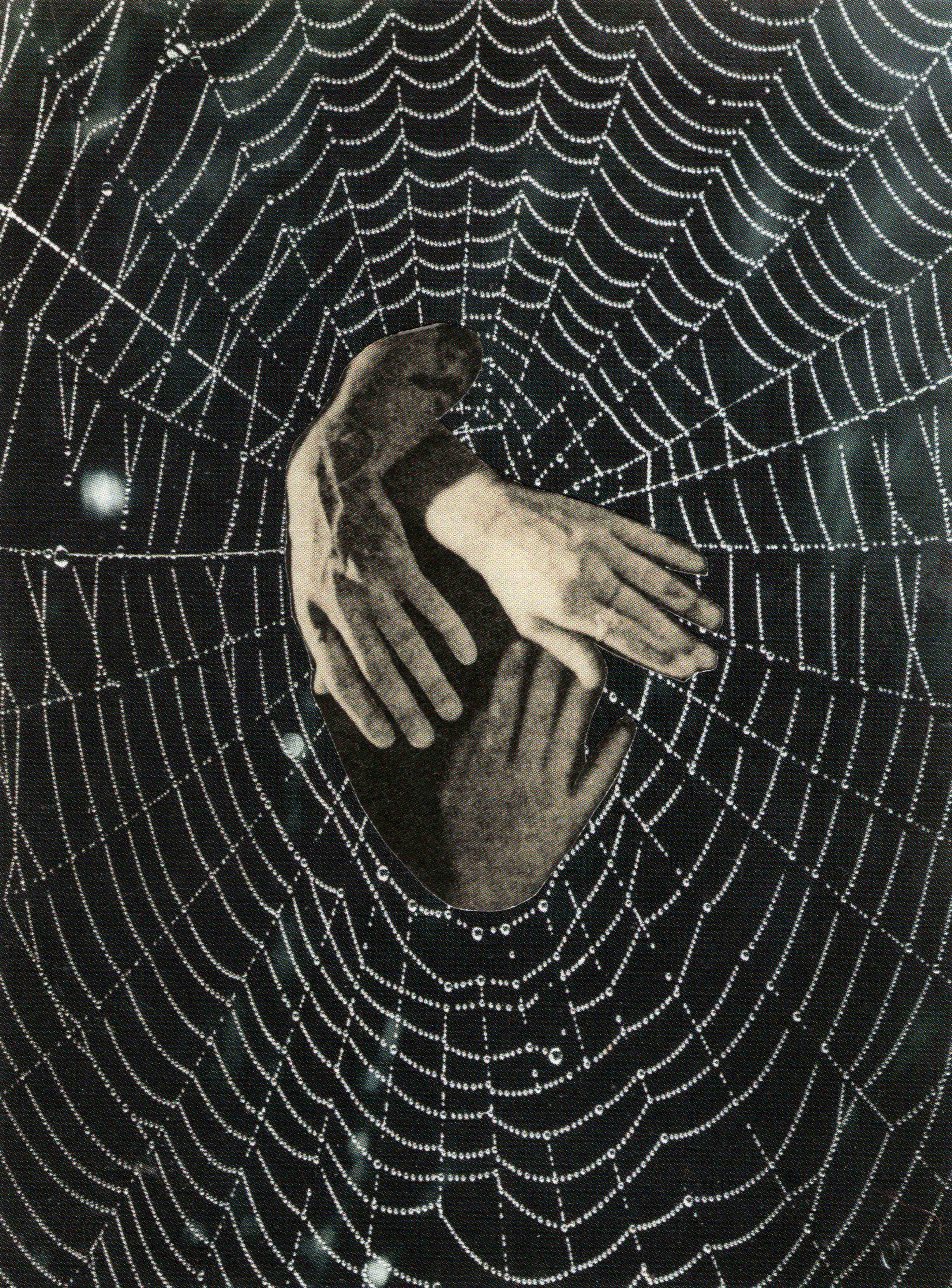 FISHEYE_AM_Connection_2024